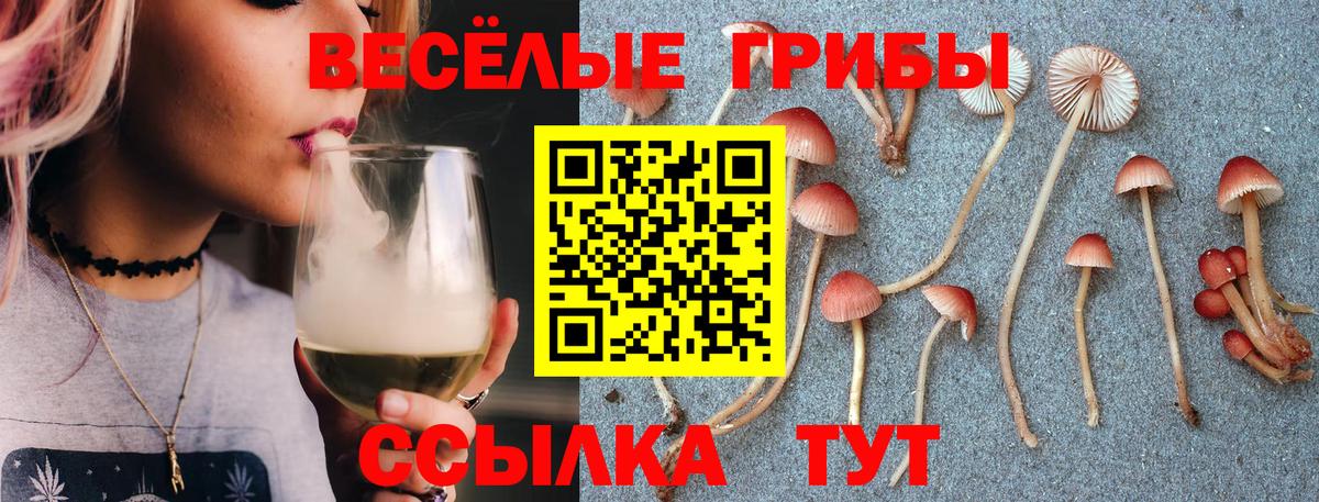Галлюциногенные грибы Cubensis  Вход с VPN  Дедовск  Галлюциногенные грибы Psilocybe 